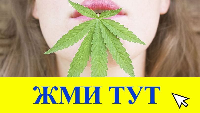 Купить наркотики в Майкопе